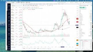 SP5また高値更新・イランの逆兵糧攻め・イーロンはカーソルを買収・ペプチドが次のテーマ株？AAPLのCEOが変わる・私が最近売った株・まりーさんの投資ミーティング・26年4月25日・YT編