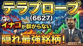 【株式投資銘柄分析】テラプローブ（6627）ROIC低下の罠に騙されるな。借金増大でパニック売りされているこの獲物の反撃はこれからだ！
