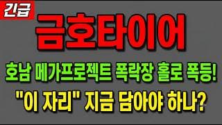 [금호타이어 주가 전망] (긴급) 호남 메가프로젝트 수혜주 폭락장서 홀로 폭등! 이 자리 지금 담아야 하나?