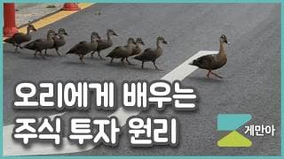 나는 오리로부터 주식 투자를 배운다