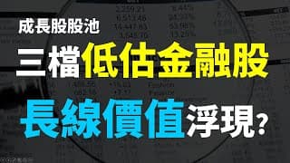 三檔被低估的金融股，長期投資價值已浮現!! 買高股息ETF不如長期持有金融股?? Haoway