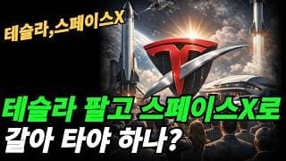 (테슬라,스페이스X) 테슬라의 AI칩이 다크호스가 될수있다.
