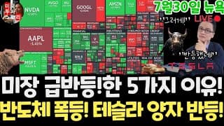 미국주식/반도체 폭등! 아마존 애플 어닝! 테슬라 스페이스X 엔비디아 구글 메타 아이온큐 삼성전자 하이닉스 마이크론 테크놀로지 브로드컴 인텔 AMD 코어위브 샌디스크 델 루멘텀