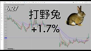 行情波动多头波动不大，只能打野兔