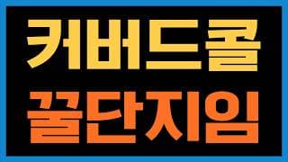 QQQI 같은 커버드콜 ETF 잘 활용하면 수익내기 좋습니다