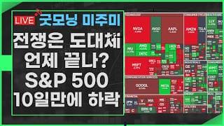 [굿모닝 미주미]   (7시 시작합니다 ) 전쟁은 도대체 언제 끝날지?  S&P 500, 10일 만에 하락   #미주미 #이항영