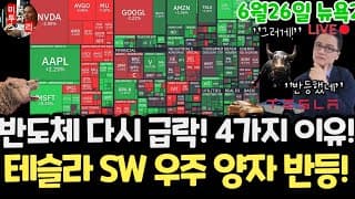 미국주식시황/반도체 급락! SW 우주 양자 반등! 테슬라 스페이스X 엔비디아 구글 애플 아마존 메타 아이온큐 삼성전자 하이닉스 마이크론 테크놀로지 AMD 샌디스크 델 릴리 루룰레몬