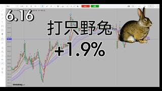 震荡回调时候做好极致防守，快进快出打野兔