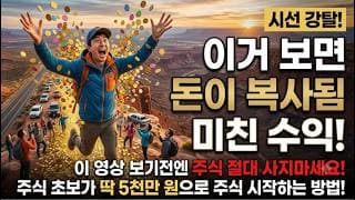 이거 보면 돈이 복사됨 미친 수익! 딱 5000만원 있다면 이렇게 하세요!
