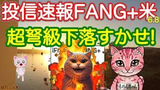 これは痛い！でも生きているぞ！FANG+S&P500,NASDAQ100,レバナス！ウィアー！【投信確定速報】
