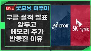[굿모닝 미주미] 구글 실적 발표 앞두고 반도체 주가가 반등한 이유    #미주미 #이항영