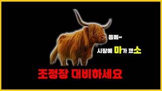 "마소 주봉 200일선, 손절하고 현금 비중 늘립니다. 그리고 퀀트 매매만 합니다"