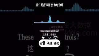 黄仁勋闭门会议，原声泄密AI困境 NVDA  #美股 #英伟达