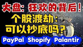 大盘: 狂欢的背后！个股渡劫：可以抄底吗？PayPal ~ Shopify  ~ Palantir