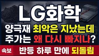 [LG화학 주가 전망] 양극재 최악은 지났다는데 주가는 왜 다시 빠지나 #LG화학주가전망 #LG화학목표가 #LG화학