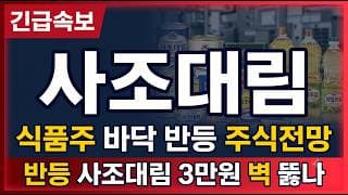 [사조대림 주가전망] 바닥 딛고 올라온 식품주, 삼만원 벽 넘을까 #사조대림 #사조대림주가 #사조대림전망