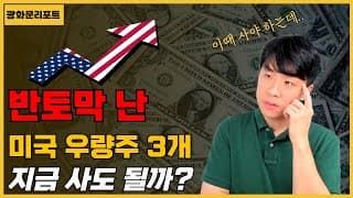 반토막 난 미국 우량주 3개, 지금 사도 될까?