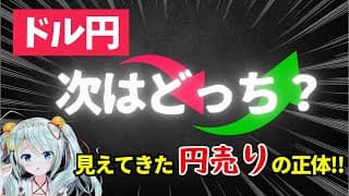【異変】ドル円は“ドル高”ではない！円が売られる本当の理由！