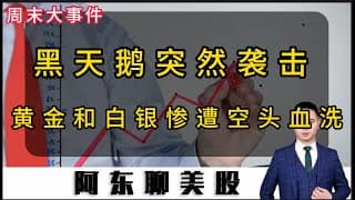 黑天鹅突然袭击！黄金和白银惨遭空头血洗！新美联储主席对美股有何影响？#美股 #投資 #sndk #熱門 #黄金 #白银#存储芯片#美联储新主席#