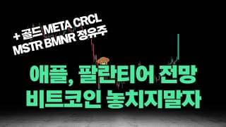 애플 팔란티어 전망, 코인섹터 여전히 기회인 이유 (feat. 골드 메타)