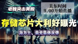 美股解析｜存储芯片大利好曝光！海力士、美光集体反弹。#美股 #英伟达 #甲骨文 #英特尔 #特斯拉 #soun #苹果 #投資  #crcl  #amd