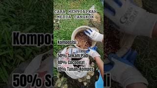 RECOMMENDED: MEDIA CANGKOK POHON BUAH²AN