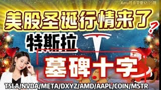【美股12.23盘前展望】💥美股圣诞行情来了？  ⭐特斯拉冲击500大关，但注意这根K线形态！#tsla #美股#股票#nvda  #amd #meta#aapl #coin #mstr #dxyz
