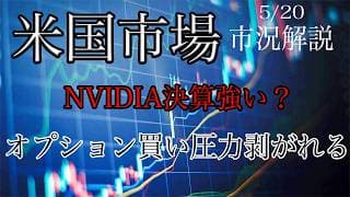 5/20【米国市場】オプションの買い圧力剥がれ続落！NVIDIA決算は強い？