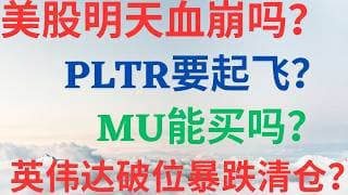 美股1143|美股明天血崩吗?PLTR要起飞了?MU现在能买吗?英伟达破位暴跌要清仓吗? #pltr #nvda #mu #美股分析 #drmikeinvest