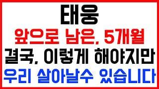 [태웅 주가전망] 💥집중💥앞으로 남은 5개월! 결국, 이렇게 해야지만 우리 살아날수 있습니다!