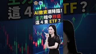 AI 撤資潮降臨！主力暗中抄底這 4 隻 ETF？ #投資#美股 #etf #ai #熱門