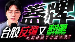 【蓋牌】台股一度反彈尾盤卻翻黑 ! 究竟背後代表...?｜錢進大趨勢 Mr.智霖 陳 2026/07/30
