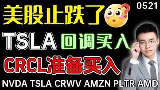 【tsla 股票】特斯拉回调止跌，波段二次买点！crcl止跌迹象，继续等待启动阳线！美股回调结束，还是反弹而已？｜ tsla 技术分析 ｜ btc 加密货币 ｜crcl 股票