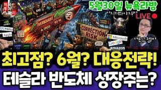 미국주식/최고점 6월 조정? 대응전략?(편집본)/테슬라 엔비디아 구글 애플 아마존 메타 아이온큐 삼성전자SK하이닉스 마이크론 테크놀로지 브로드컴 인텔 AMD 코어위브 샌디스크