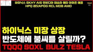 하이닉스 미장 상장 반도체에 불씨를 살릴까? TQQQ SOXL BULZ 하이닉스 SKHY AIS 엔비디아 테슬라 메타 아마존 애플 HPQ 레딧APOG RCL MDB AMD