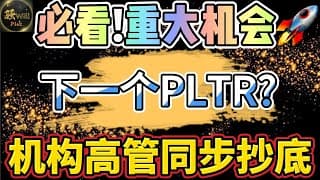 美股投资｜美股必看.机构高管买疯了,下一个PLTR?英伟达Nvda,AMD完美抄底.潜力股重大机会.｜美股趋势分析｜美股期权交易｜美股赚钱｜美股2025