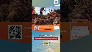 ทำไม สงขลา ถึงเสียแชมป์มูลค่าเศรษฐกิจสูงสุด ของภาคใต้ ?