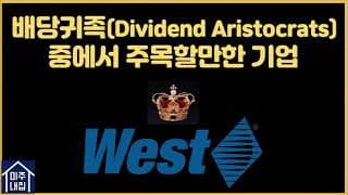 [미국배당주] 현 시점 주목할만한 배당귀족주(Dividend Aristocrat)