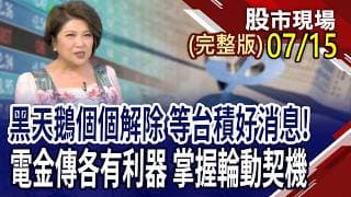大牛今年不一樣 台達電.聯電.群創還能上車?美CPI大降溫 升息預期將隨油價波動?資金不再簇擁電子股 非電族群將浮出檯面?｜20260715(周三)股市現場(完整版)*鄭明娟(許博傑×錢冠州×盧昱衡)