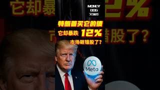 震碎华尔街：特朗普豪买 8200 万债券，Meta 却暴跌 12%？真相吓哭散户！