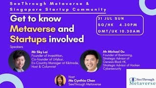 What is the “Realistic” Metaverse? with Michael @Boxmining _Metaverse 1001 Webinar