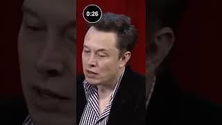 Tesla CEO