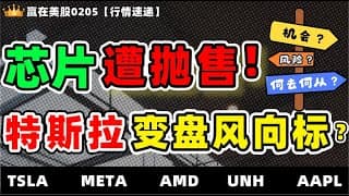 #股票|#Serena|#赢在美股|芯片遭抛售！特斯拉变盘风向标？#TSLA#META#AMD#UNH#AAPL