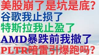 美股1178|美股崩了下周是坑还是底?谷歌暴跌前我止损了!特斯拉止盈了!AMD暴跌前我撤了,PLTR暗雷引爆要跑吗? #googl #tsla #amd #pltr #美股 #美股分析