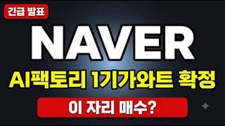 [NAVER 주가전망] 네이버 진짜 바닥일까? 30만원 신고가에서 -35% 왔다 #NAVER주가전망 #NAVER목표가 #NAVER