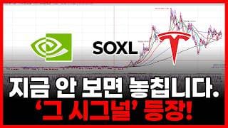 지금 안 보면 놓칩니다.‘그 시그널’ 등장! (엔비디아 테슬라 SOXL 팔란티어테크 아이온큐 아이렌 네비우스