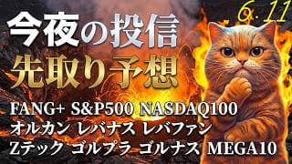 FANG+警戒続く、ホルムズ鎮まれ！明日のSpaceX IPOどうなるんだよ。レバナス、半導体、モメンタム 連続地獄トランプ大統領のTACO待ち仕草 旅ソングは鹿島シュノーケリング【今夜の投信予想】
