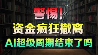 美股 警惕！资金正在疯狂撤离，AI超级周期结束了吗？#mu #sndk #skhynix #spcx