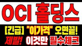 [OCI홀딩스 주가전망] 많이 힘드시죠? 손절을 준비한다면 이 영상까진 보고 결정하세요 "초긴장" ⚠️ D-3일