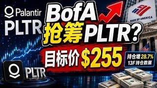 美国银行大举增持PLTR！255美元目标价背后，Palantir真的被低估了吗？